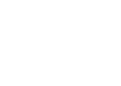 Bscai Logok