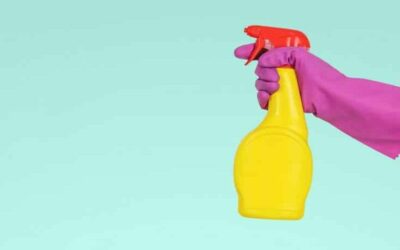 How To Turn Cleaning Business Leads Into Routine Clients