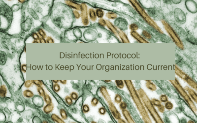 Disinfection Protocol: How to Keep Your Organization Current